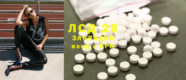 ПСИЛОЦИБИНОВЫЕ ГРИБЫ Алексеевка