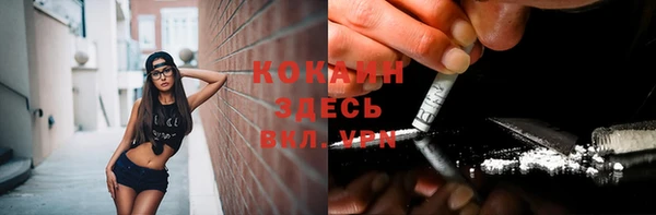 хмурый Алексин