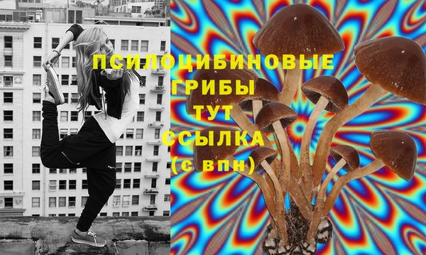 ПСИЛОЦИБИНОВЫЕ ГРИБЫ Алексеевка