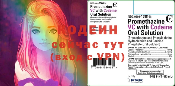хмурый Алексин