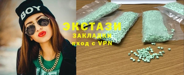 хмурый Алексин
