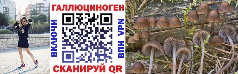 Псилоцибиновые грибы прущие грибы  mega ссылка  Батайск 