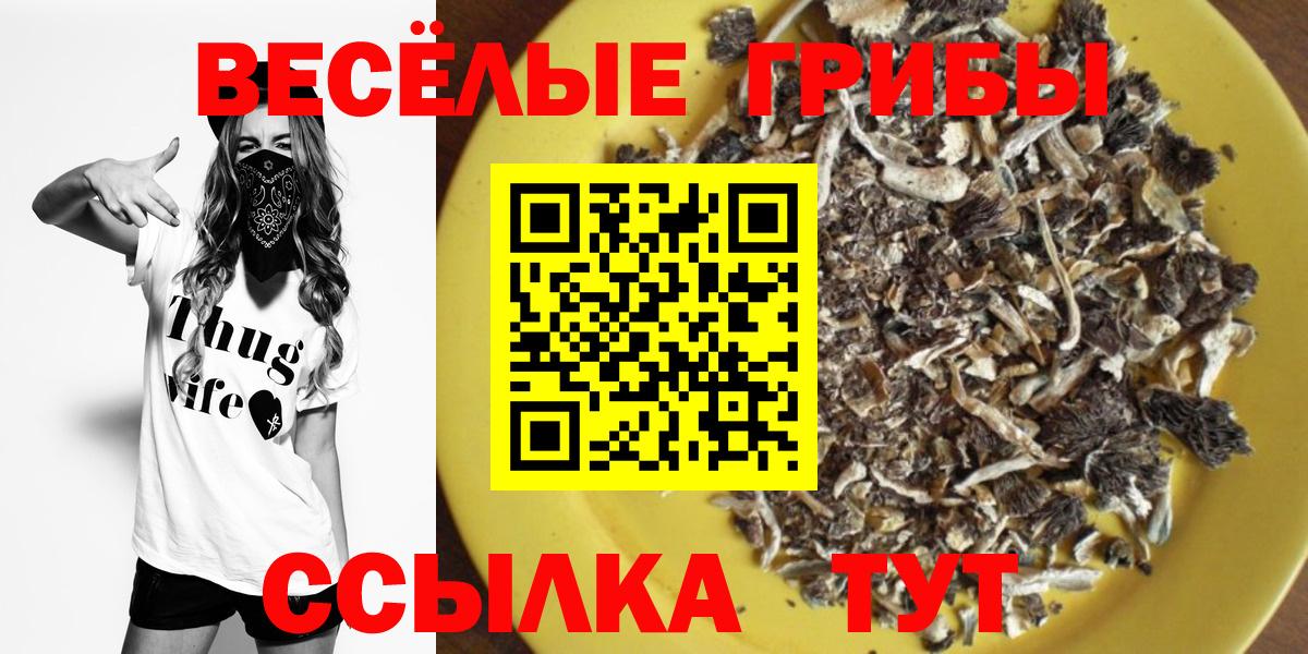 Псилоцибиновые грибы Psilocybine cubensis Батайск