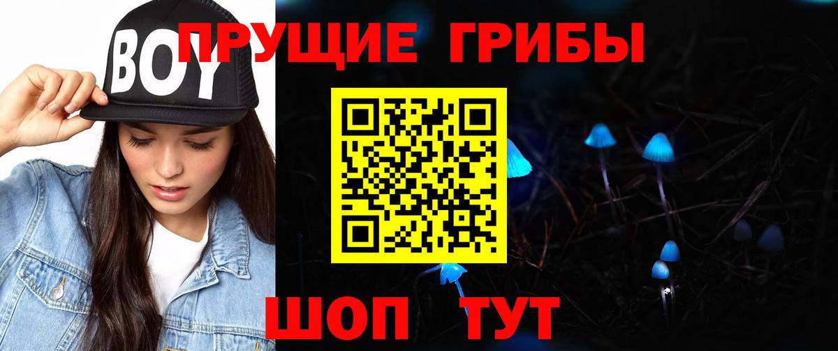 Батайск  Псилоцибиновые грибы прущие грибы  Вход с VPN 